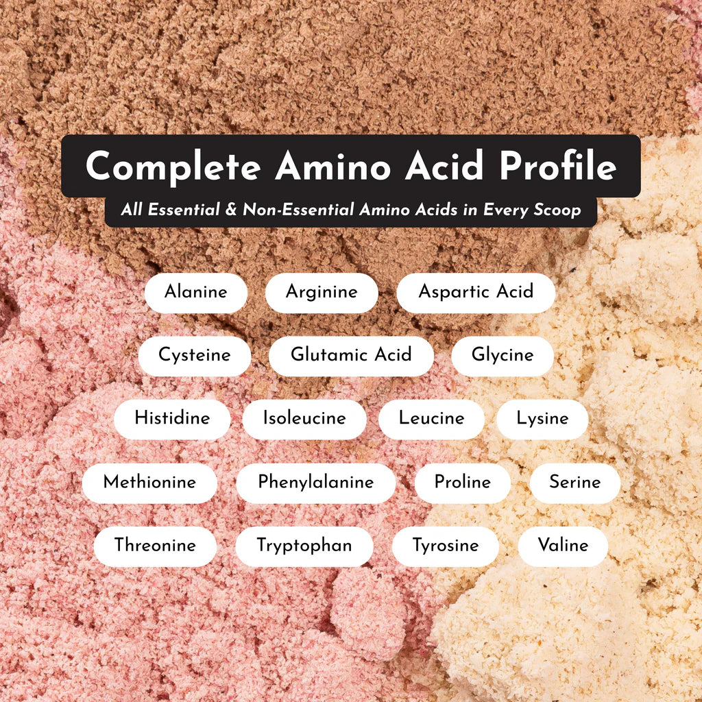 Strawberries & Cream Protein Powder