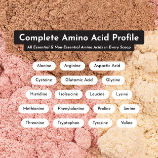 Strawberries & Cream Protein Powder