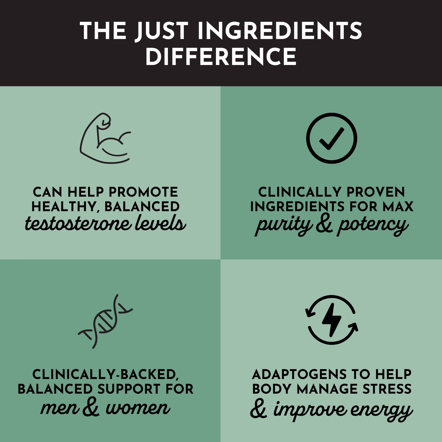 Testosterone Support