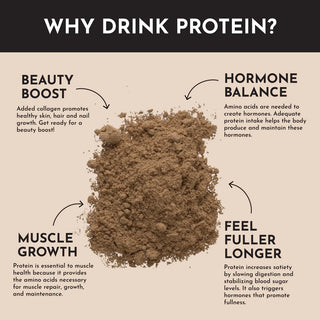 Creamy Peanut Butter Chocolate Protein Powder Stick