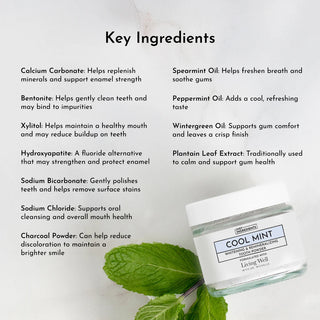 Remineralizing Tooth Powder (Mint)